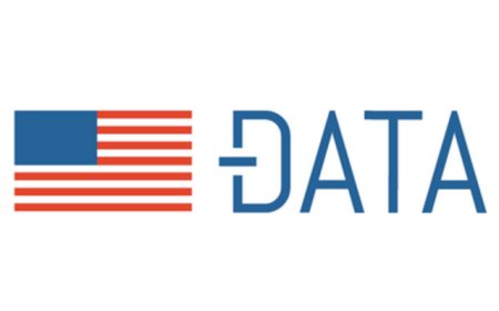 Unlocking Data: A Guide to Data.gov