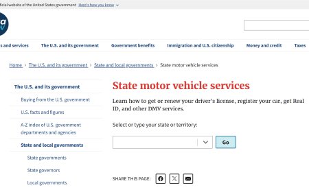 Navigating State Motor Vehicle Services Online