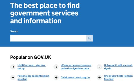 Navigating the UK Government's Official Website