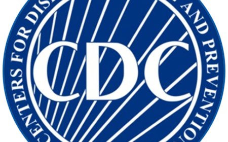 Understanding the Role of the CDC in Public Health