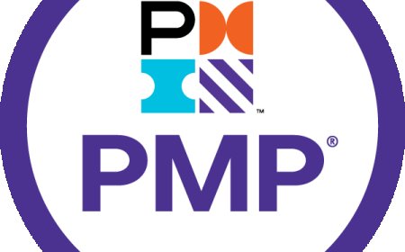 Free PMP Exam Brain dumps – Pass Fast with Latest Questions