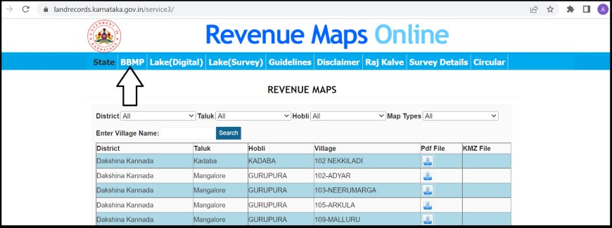Karnataka Land Records: Your Essential Guide