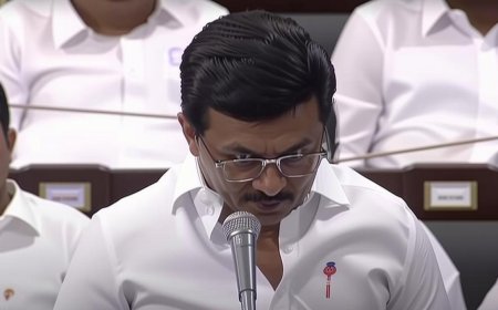 விஜய்யின் தாமதம்: கரூரில் பரபரப்பான பலி | TNNEWS