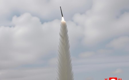 North Korea Showcases Missile Power During Trump’s South Korea Visit | TNNEWS