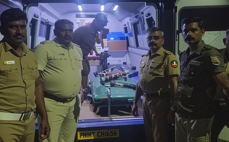 விழுப்புரம் அருகே மர்ம வாகனம் மோதி சிறுத்தை உயிரிழப்பு! | TNNEWS