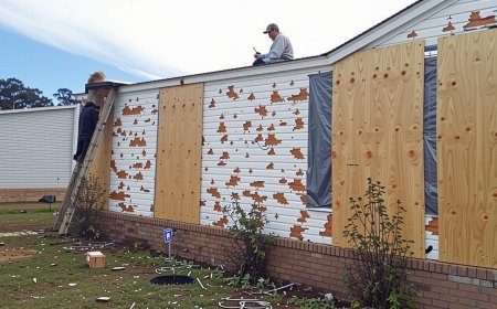 How Rising Home Insurance Challenges Are Transforming U.S. Communities | TNNEWS
