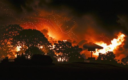 Inferno in Southwestern Japan Ravages 170 Homes, Triggers Mass Evacuations | TNNEWS